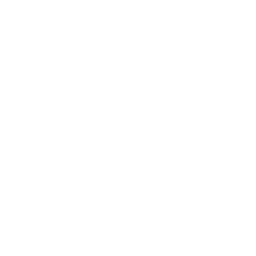 Scribble Logo